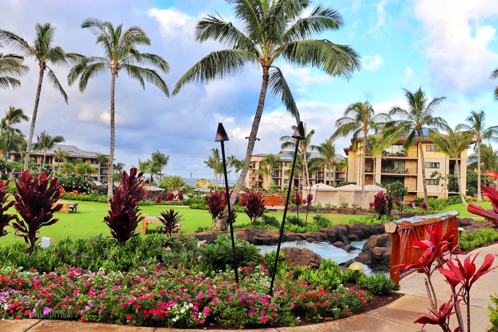 Lush landscaping at Koloa Landing Resort, Poipu on Kauai