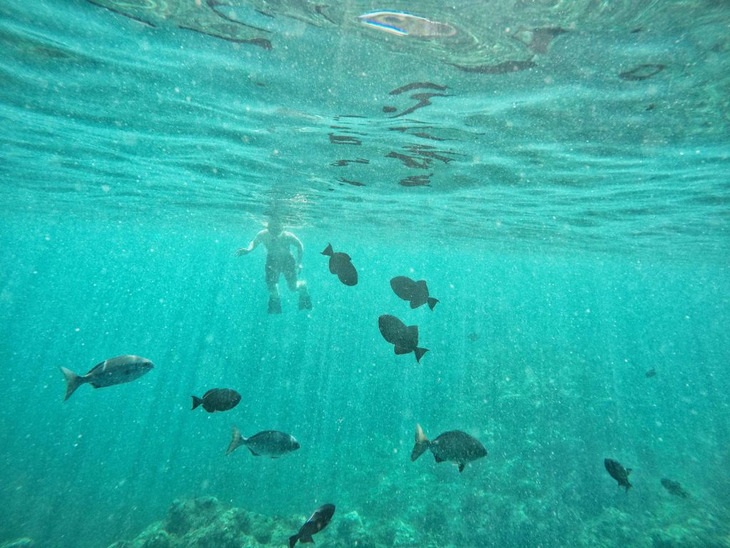 Great snorkeling adventure off Kauai's Na Pali Coast with Napali Experience