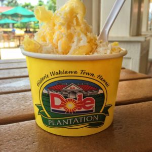 No trip to Oahu would be complete without a trip to the Dole Plantation!