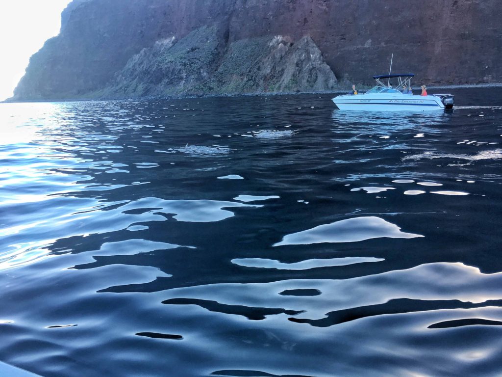 Great snorkeling adventure off Kauai's Na Pali Coast with Napali Experience